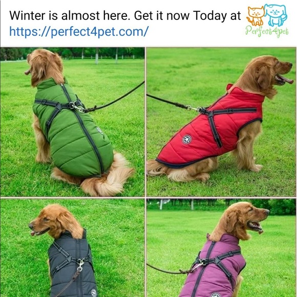 Dog green Waterproof Jacket With Harness - Picture 2 of 8